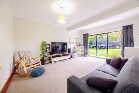 Photo of property in 19 Francis Drake Street, Waipukurau, 4200