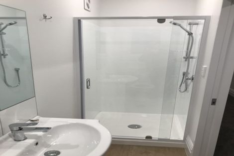 Photo of property in 23 Buchanan Street, Kingsland, Auckland, 1021