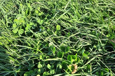 Photo of property in 223 Kaitangata Highway, Stirling, 9231