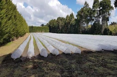 Photo of property in 328 Riverhead Road, Riverhead, 0892