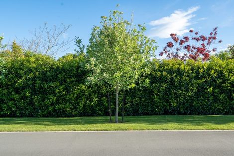 Photo of property in 167a Ashley Street, Rangiora, 7400