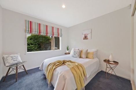 Photo of property in 115 Somerfield Street, Somerfield, Christchurch, 8024