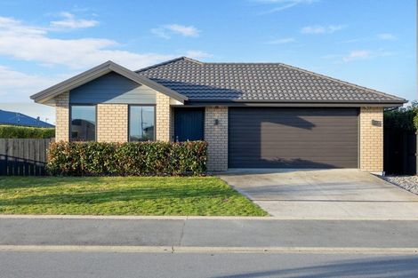 Photo of property in 20 Chert Street, Rolleston, 7614