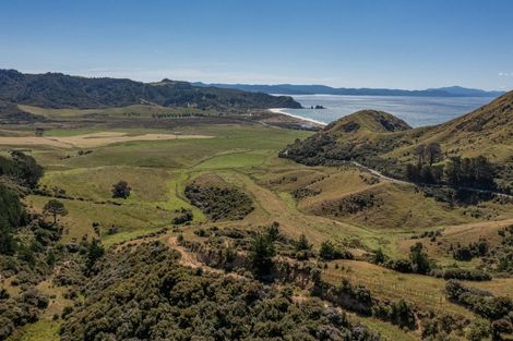 Photo of property in 550 Black Jack Road, Opito Bay, Whitianga, 3592