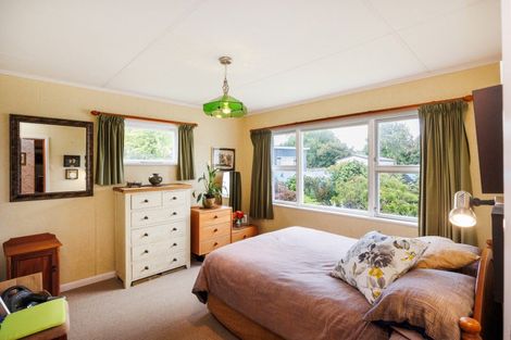 Photo of property in 87 Stortford Street, Ashhurst, 4810