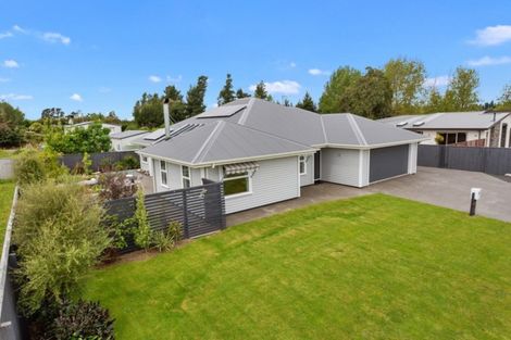 Photo of property in 22 Wineberry Avenue, Amberley, 7410