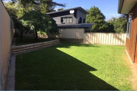 Photo of property in 29 Winter Street, Fairfield, Hamilton, 3214