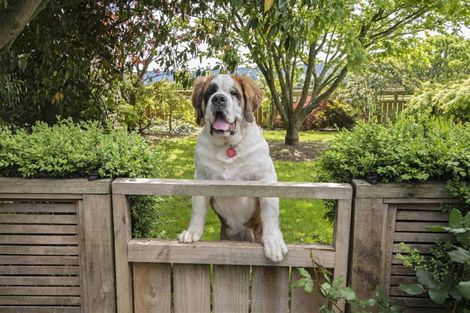 Photo of property in 11 Mannix Place, Matamata, 3400