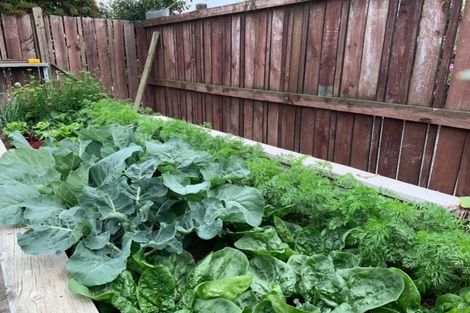 Photo of property in 6 Gilling Place, Cromwell, 9310