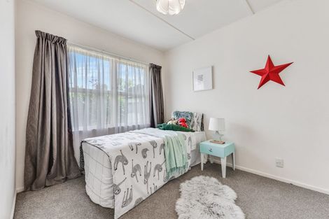 Photo of property in 42 Fitzroy Avenue, Fitzroy, Hamilton, 3206