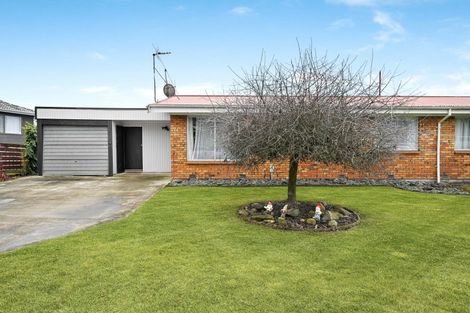 Photo of property in 10 Hibiscus Avenue, Hamilton Lake, Hamilton, 3204