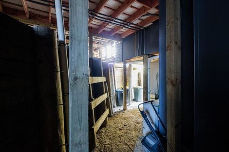 Photo of property in 42 Williamson Street, Cambridge, 3434