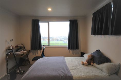 Photo of property in Includes 135, 137 Harbour Tce, 139 Harbour Terrace, North Dunedin, Dunedin, 9016