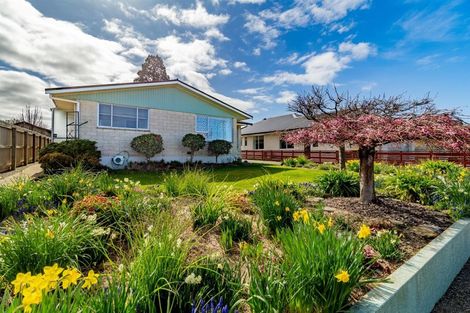 Photo of property in 10a Churchill Place, Waimate, 7924
