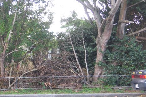 Photo of property in 16 Rathgar Road, Henderson, Auckland, 0610