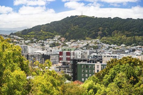 Photo of property in Fairmont Flats, 3d/20 Maarama Crescent, Aro Valley, Wellington, 6021