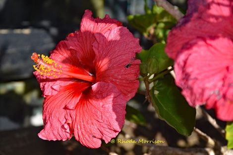 Photo of property in 1 Sandy Beach Road, Tinopai, 0593