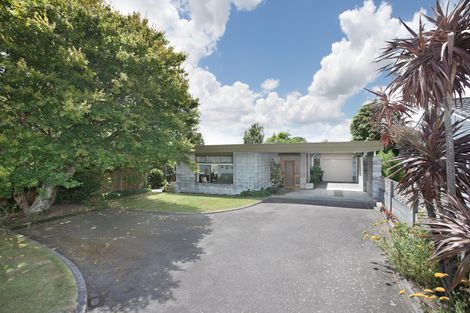 Photo of property in 19 Fitzroy Street, Terrace End, Palmerston North, 4410