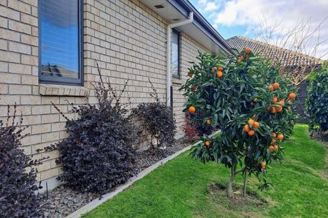 Photo of property in 20/46 Sharp Road, Aongatete, Katikati, 3178