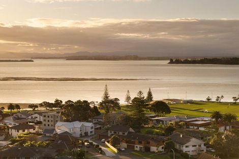 Photo of property in 20 Clivedene Street, Matua, Tauranga, 3110