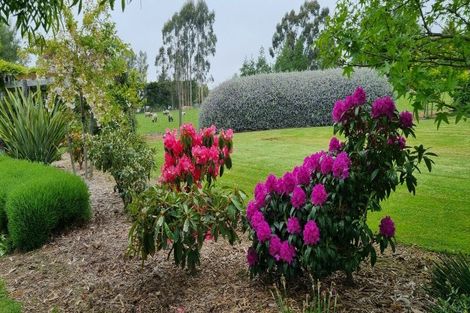 Photo of property in 69 Salisbury Road, Salisbury, Timaru, 7972