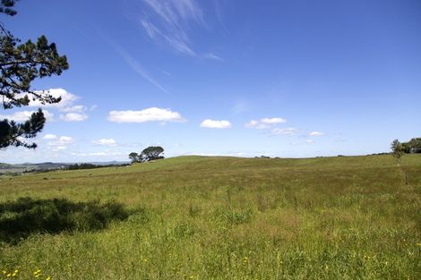 Photo of property in 233 Tatarariki Spur Road, Te Kopuru, 0391