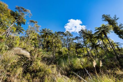 Photo of property in 225 Rocky Cutting Road, Waitao, Tauranga, 3175