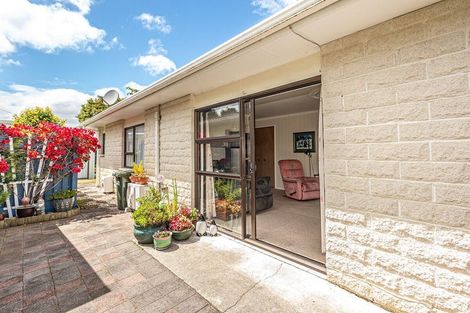 Photo of property in 19b Fergusson Street, Springvale, Whanganui, 4501