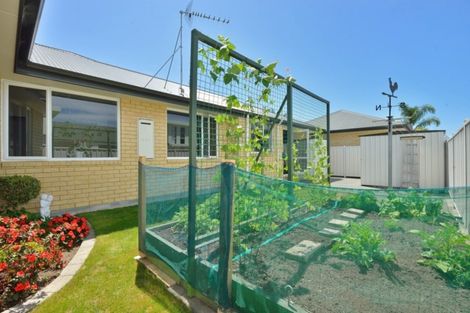 Photo of property in 32 Potae Avenue, Lytton West, Gisborne, 4010