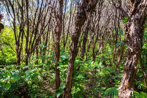 Photo of property in 294 Waiohine Gorge Road, Dalefield, Carterton, 5791