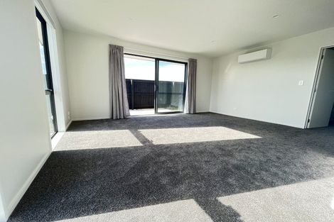 Photo of property in 41 Waikirikiri Avenue, Lincoln, 7608