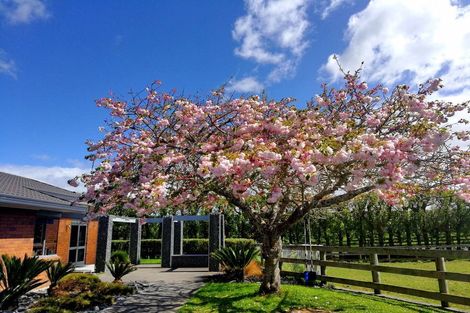 Photo of property in 49 Trentham Road, Matangi, Hamilton, 3284