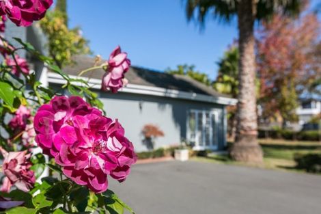 Photo of property in 11 Simla Avenue, Havelock North, 4130