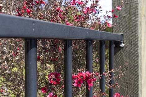 Photo of property in 149 Hakanoa Street, Huntly, 3700