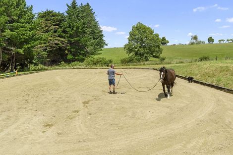 Photo of property in 270 Ireland Road, Waitoki, Kaukapakapa, 0871