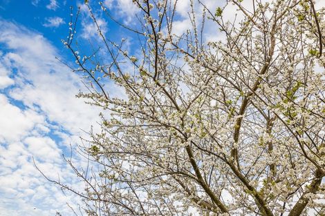 Photo of property in 4 Anna Lane, Glen Eden, Auckland, 0602