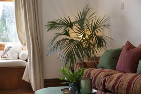 Photo of property in 114 O'brien Road, Coatesville, Albany, 0793