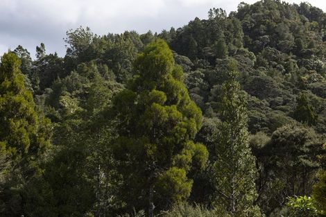 Photo of property in 37 Wairakau Road, Totara North, Kaeo, 0479