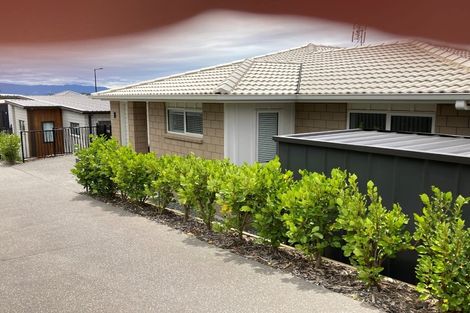 Photo of property in 56 Sentinel Avenue, Omokoroa, 3114