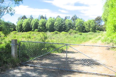 Photo of property in 356 Marshland Road, Marshland, Christchurch, 8083