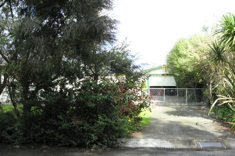 Photo of property in 1 Oslo Place, Levin, 5510