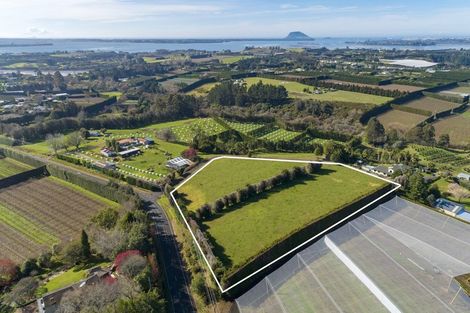 Photo of property in 198b Snodgrass Road, Te Puna, Whakamarama, 3174