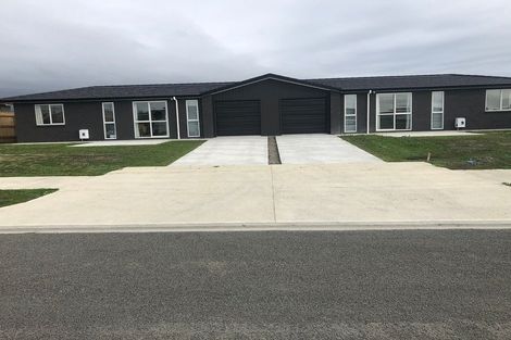 Photo of property in 87 Hinemoa Street, Levin, 5510