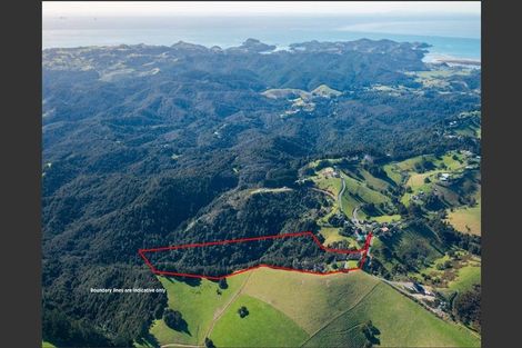 Photo of property in 98 Kiwi Bush Lane, Ngunguru, Whangarei, 0173