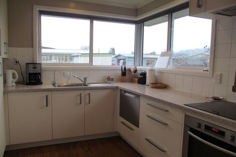 Photo of property in 41 Marslin Street, Alexandra, 9320