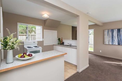 Photo of property in 4/16 Grenville Street, Waltham, Christchurch, 8011