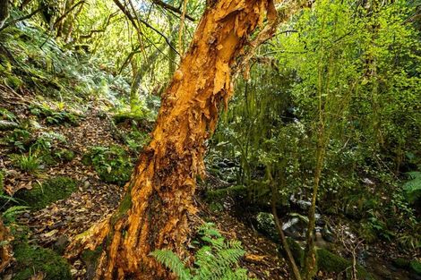 Photo of property in 288 Matiri Valley Road, Matiri, Murchison, 7077