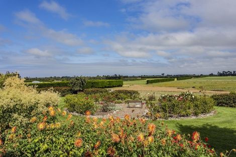 Photo of property in 45 Maskells Road, Balcairn, Amberley, 7481