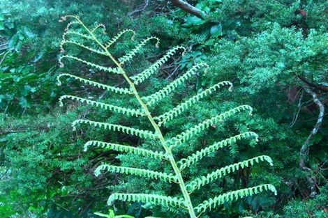 Photo of property in 1665 Matapouri Road, Matapouri, Whangarei, 0173