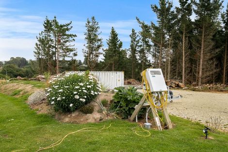 Photo of property in 20 Stafford Street, Hampden, 9410